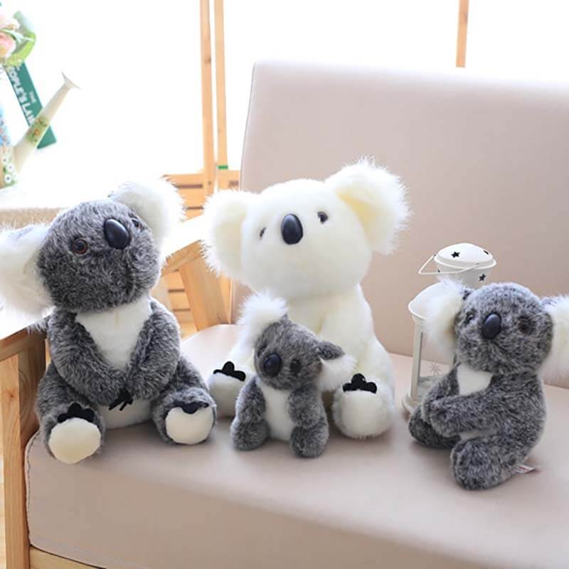 jellycat kai koala