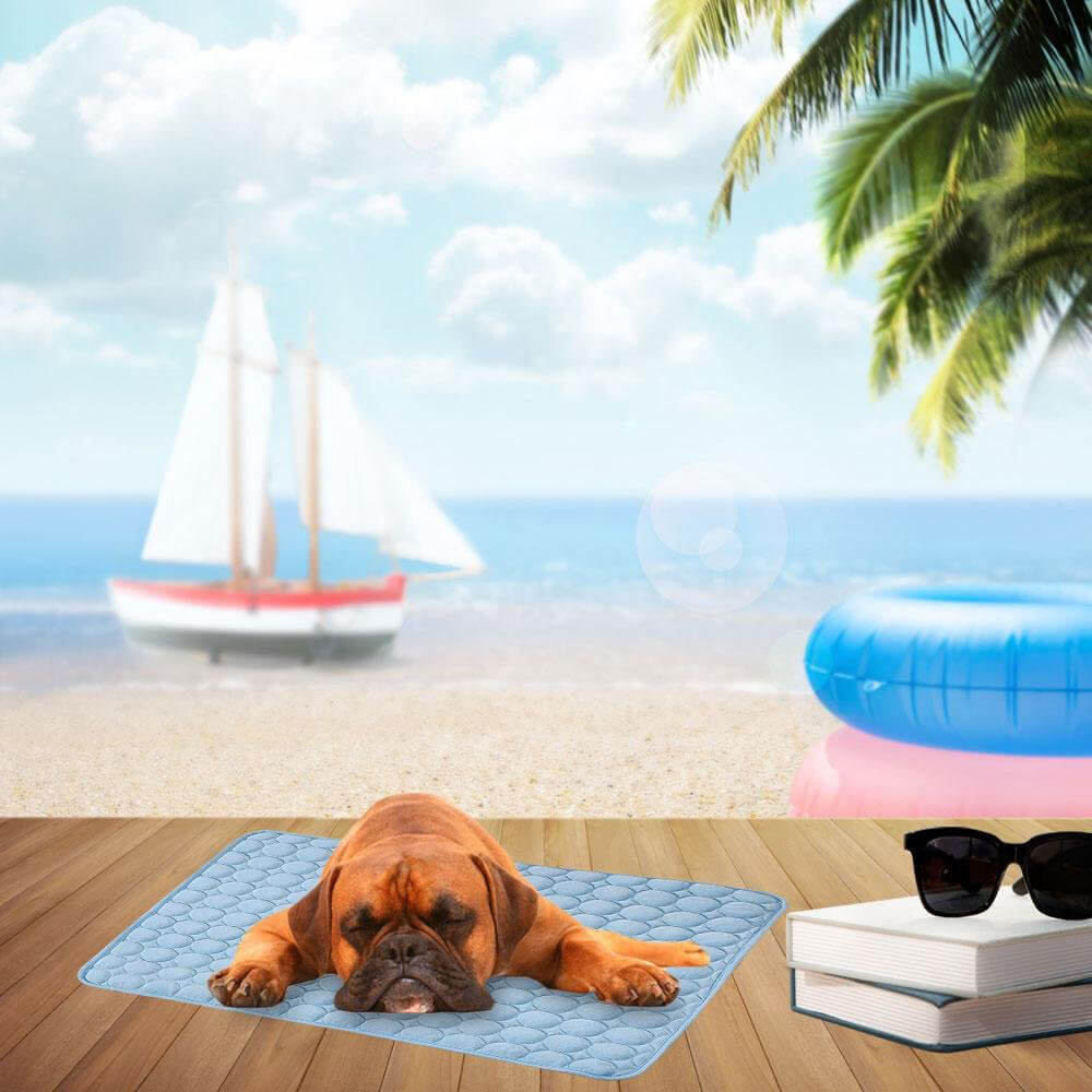 Μαξιλάρια ψύξης για σκύλους CoolMat
