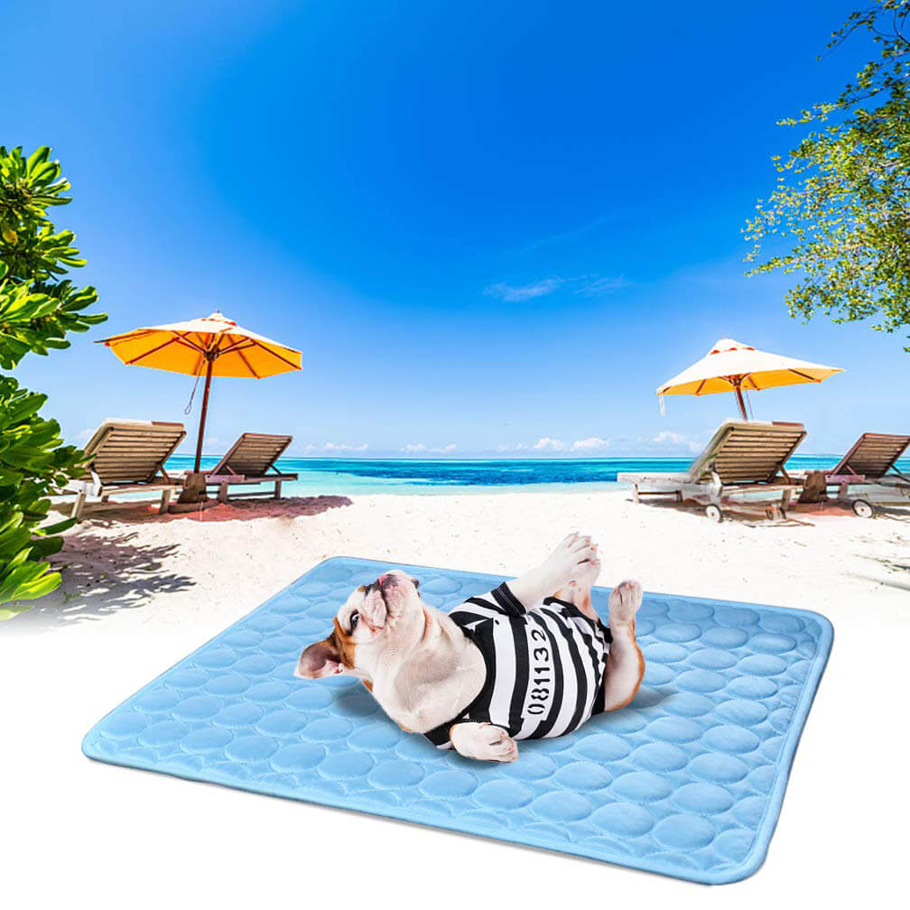 Μαξιλάρια ψύξης για σκύλους CoolMat