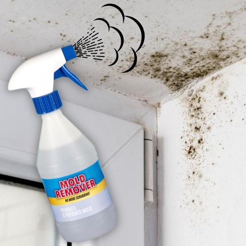 Σπρέι Πρόληψης Μούχλας Mold Remover