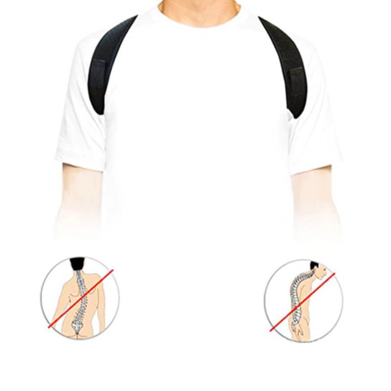 Flexyback testtartás korrektor