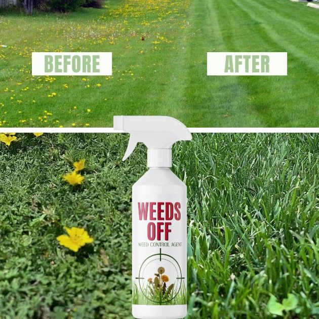 WeedsOFF™ – 100 % naturalny środek przeciw chwastom