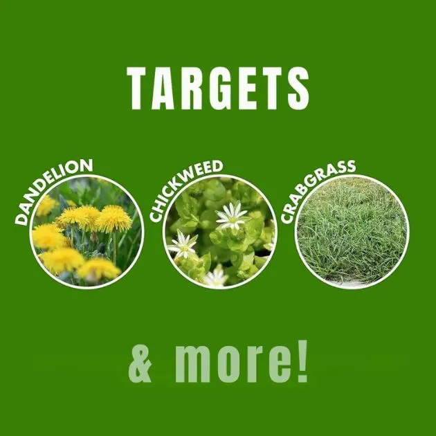 WeedsOFF™ – 100 % naturalny środek przeciw chwastom
