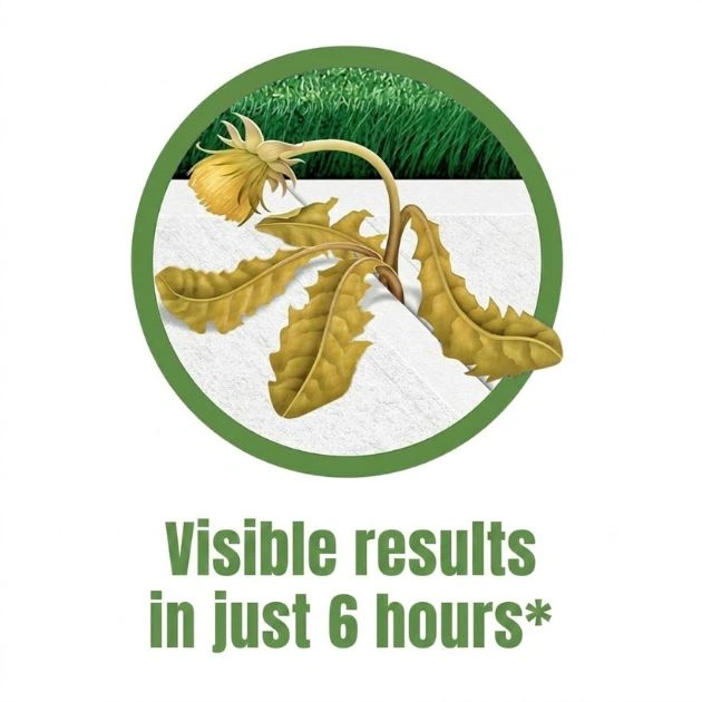 WeedsOFF™ – 100 % naturalny środek przeciw chwastom