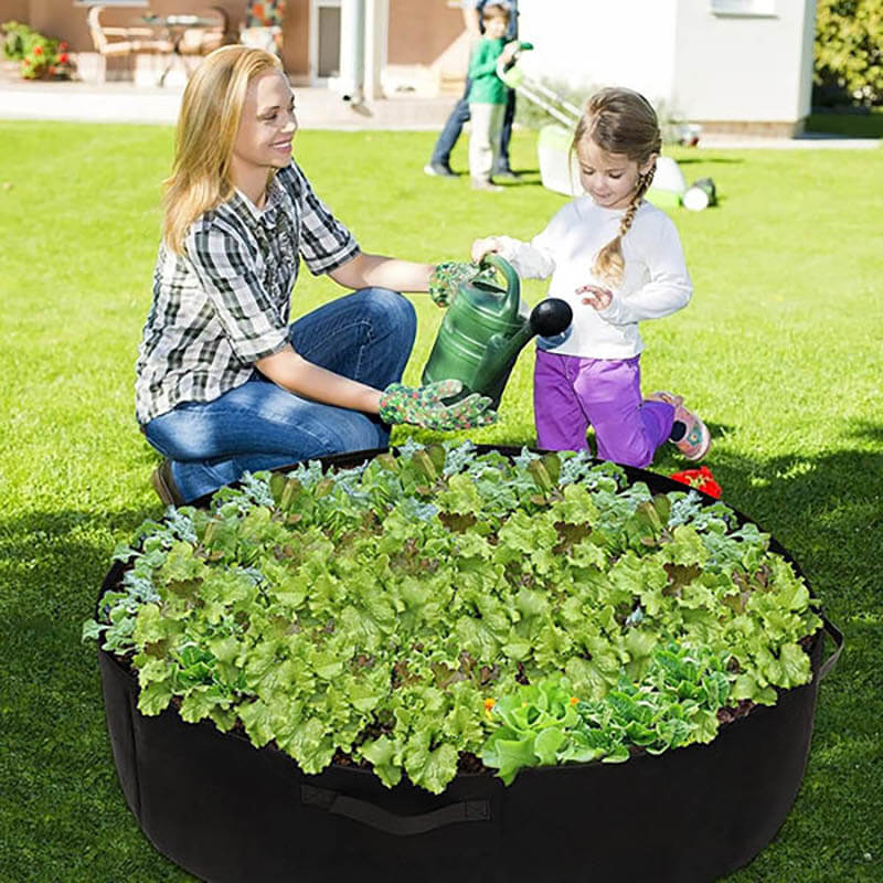 Podwyższone geowłókninowe podłoże BeddyPlant™