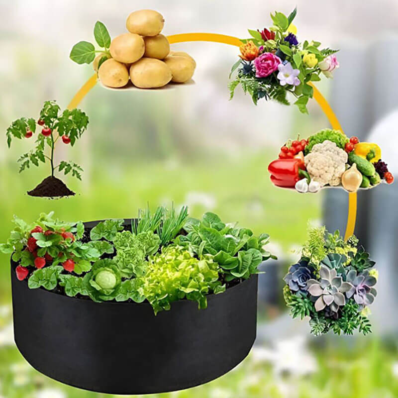 Podwyższone geowłókninowe podłoże BeddyPlant™