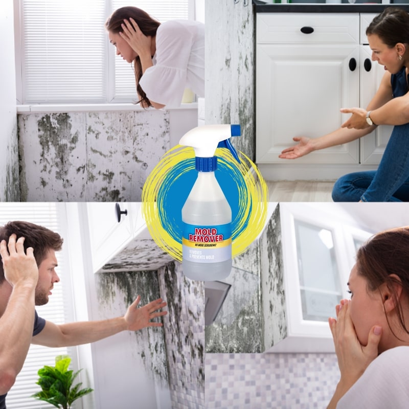 Spray do zapobiegania pleśni Mold Remover