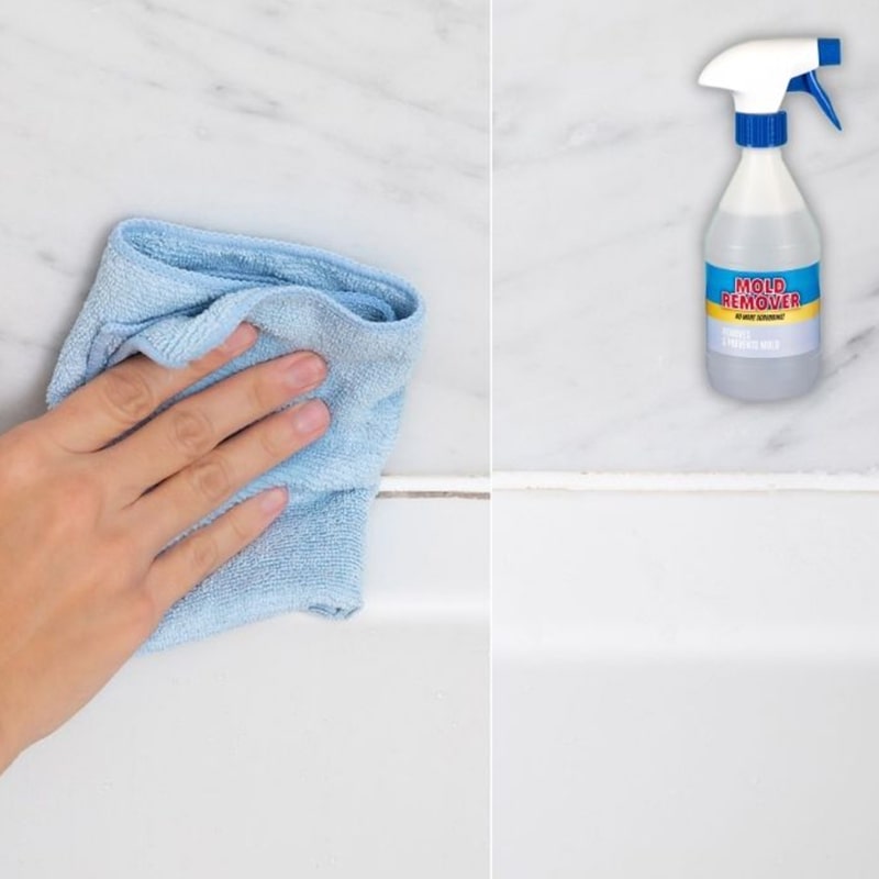 Spray do zapobiegania pleśni Mold Remover