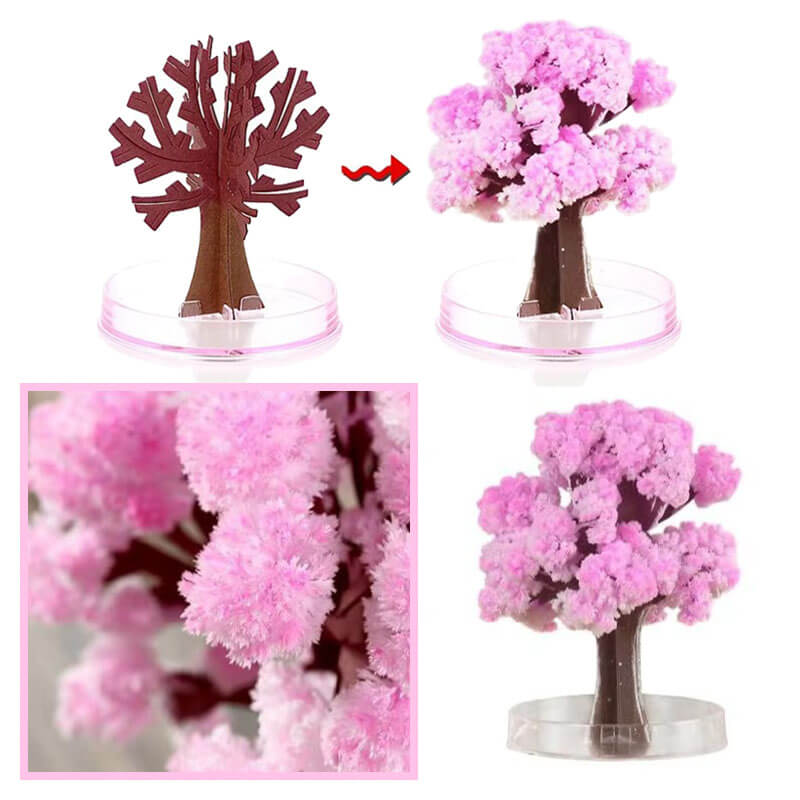 Magiczna papierowa choinka WonderTree™ (2 szt.)
