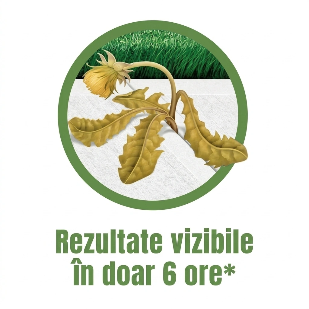 WeedX™ – Inhibitor natural 100% al creșterii buruienilor