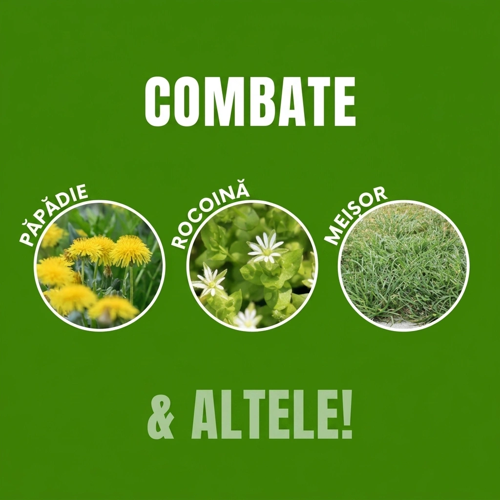 WeedX™ – Inhibitor natural 100% al creșterii buruienilor