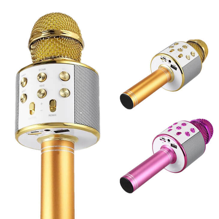 Microfon Karaoke MicStar