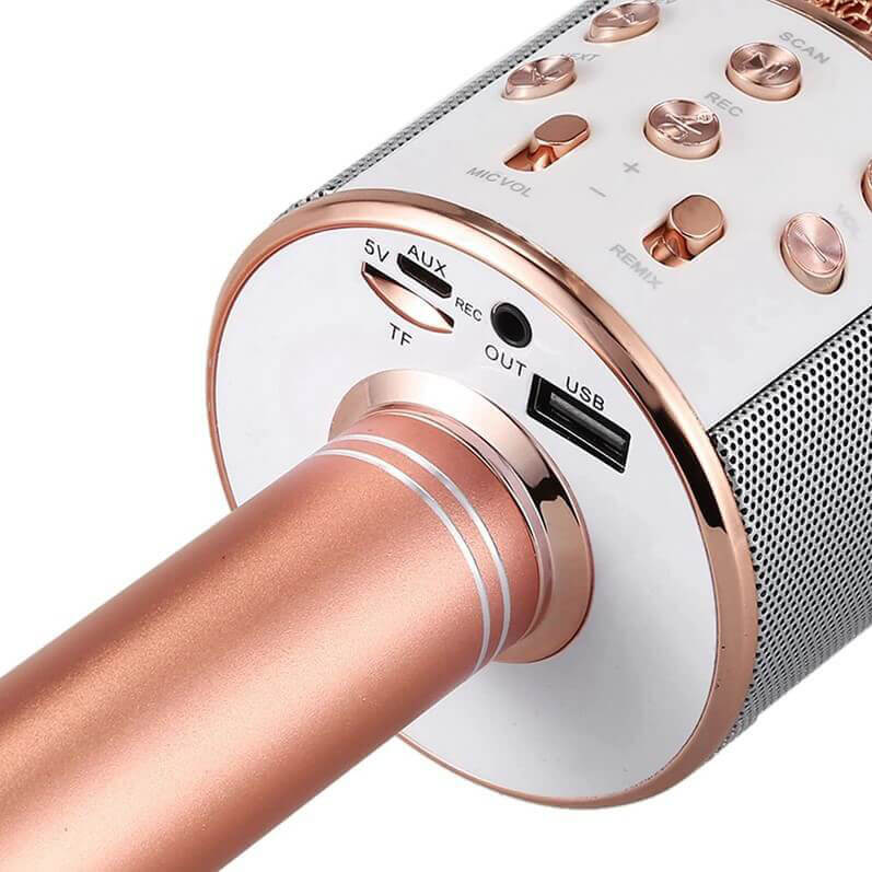 Microfon Karaoke MicStar