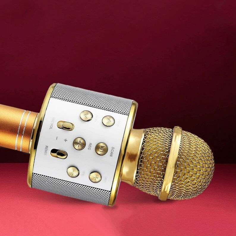 Microfon Karaoke MicStar
