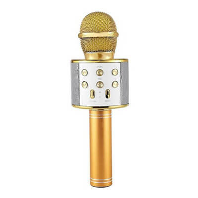Microfon Karaoke MicStar
