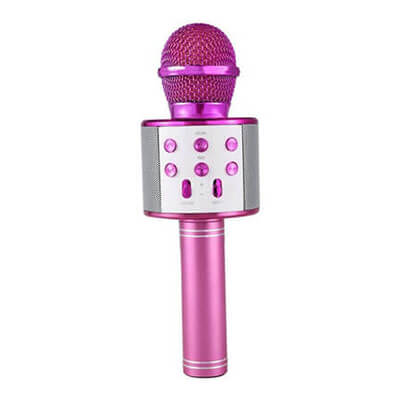 Microfon Karaoke MicStar