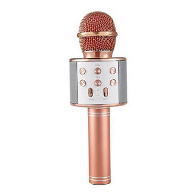 Microfon Karaoke MicStar
