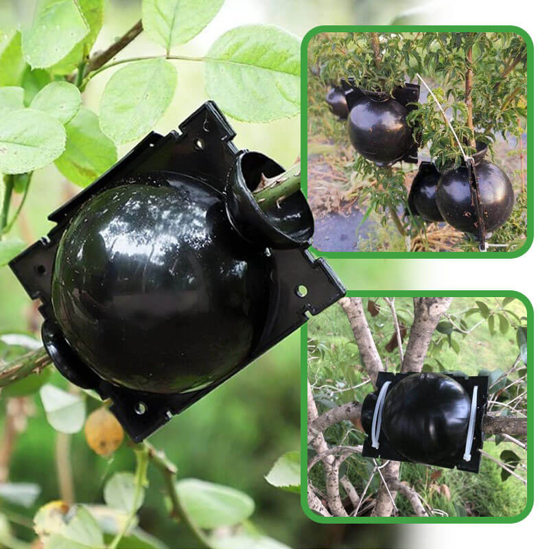 Sfere pentru înmulțirea plantelor GrowBall
