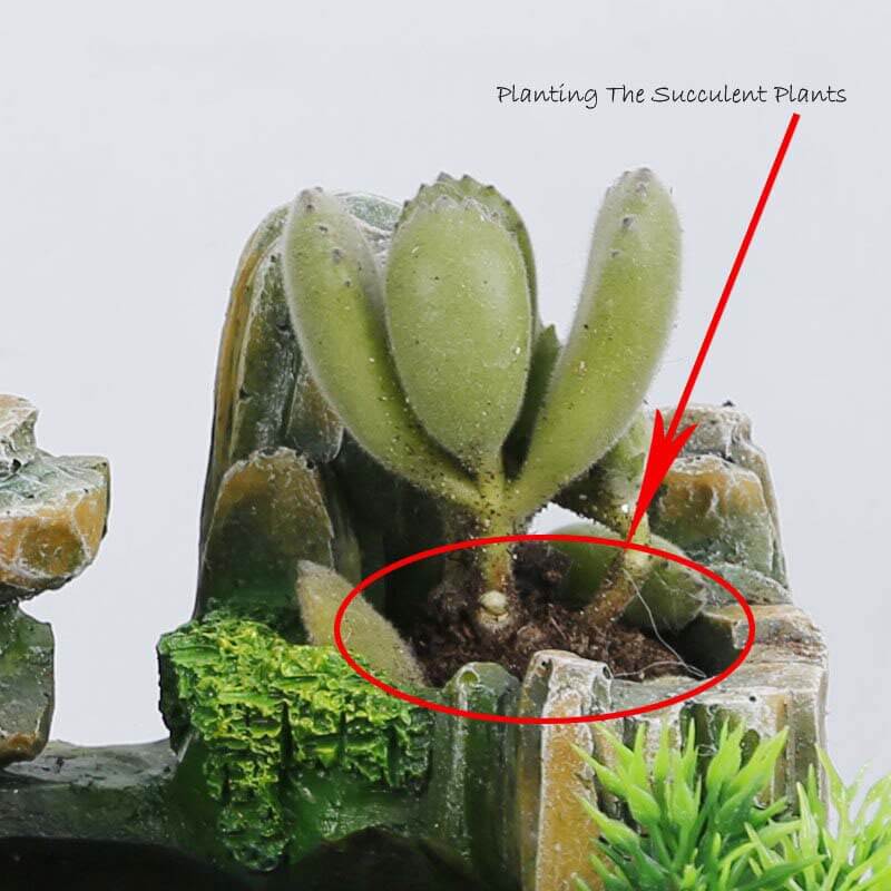 Feng Shui Bonsai fontana