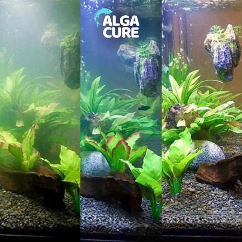 Čistič akvária AlgaCure
