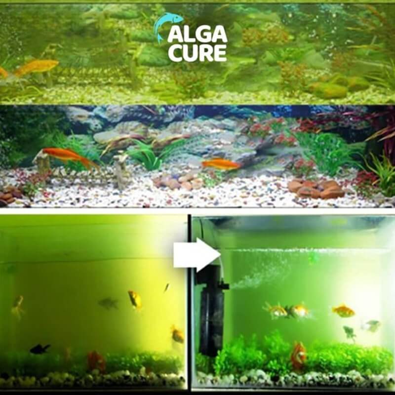 Čistič akvária AlgaCure