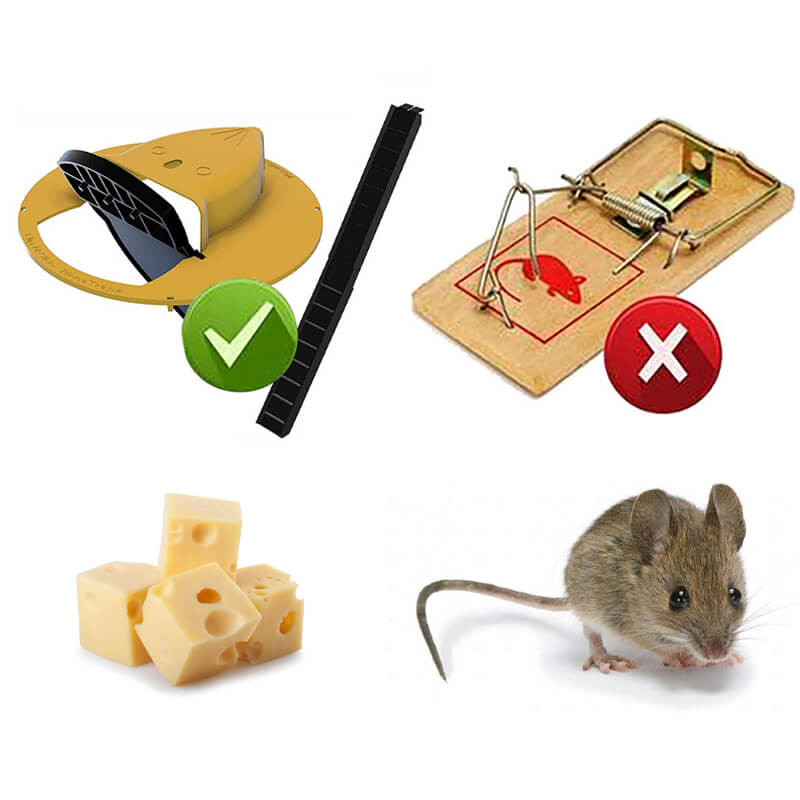 Pasca na myši na vedro FlipCatch